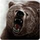 Bear Wallpapers Ultra Icon Image