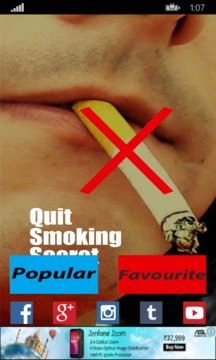 Quit Smoking Secrets Screenshot Image