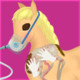 Horse Pregnancy Surgery Icon Image