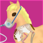 Horse Pregnancy Surgery Image