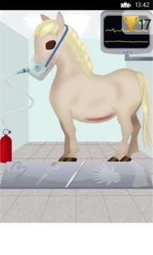 Horse Pregnancy Surgery Screenshot Image