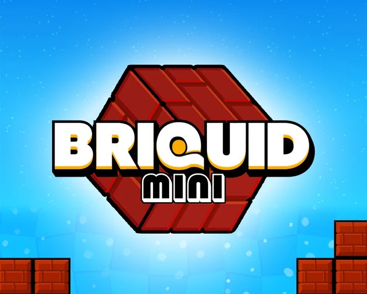 Briquid Mini Image