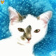 Cute Kitty of the Day Icon Image
