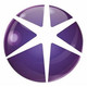 The Proton Group Icon Image