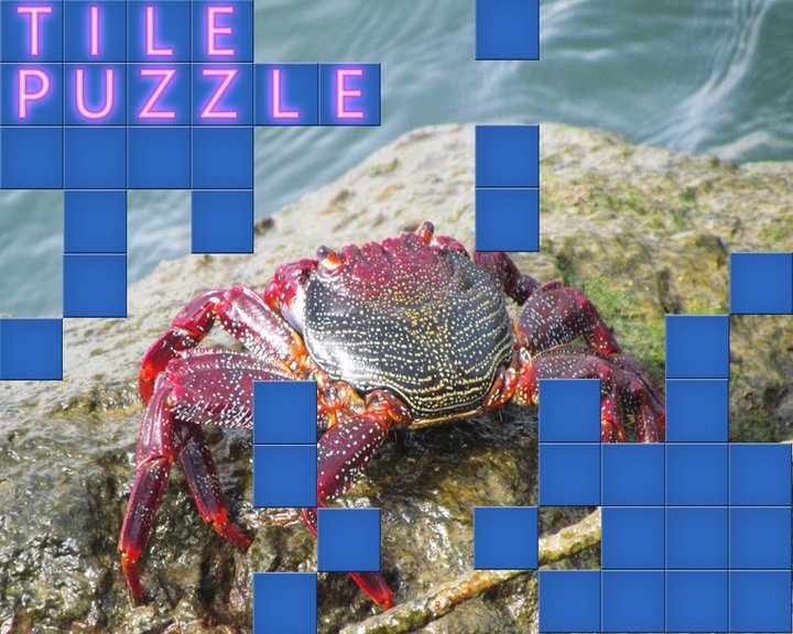 TilePuzzle Image