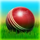 Cricket 3D World Street Challenge Icon Image