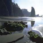 Olympic National Park Image