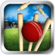 Cricket Run Out Icon Image