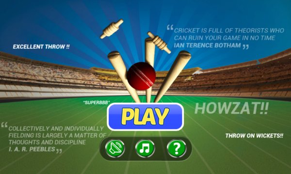 Cricket Run Out Screenshot Image