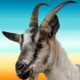 Angry Goat Simulator 2015 Icon Image