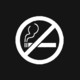 Give Up Smoking Icon Image
