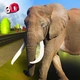 Wild Elephant Simulator 3D Icon Image