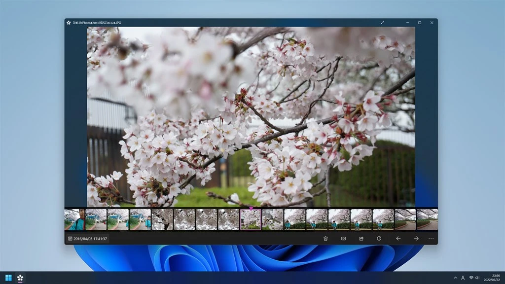 Sakura Photo Viewer Screenshot Image