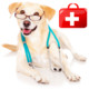 Dogs First Aid Icon Image