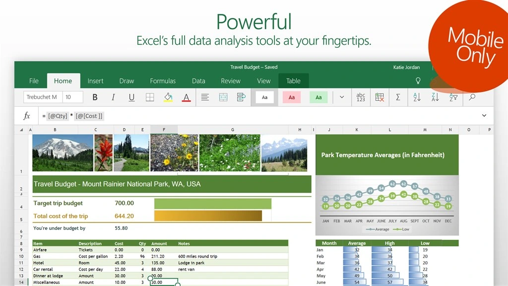 Excel Mobile Screenshot Image #1