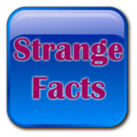 Strange Facts