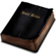 Bible App for Windows Phone Icon Image