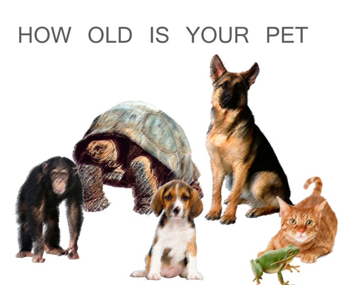 Dog Years Image
