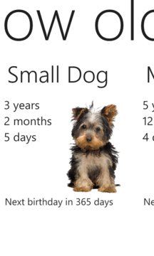 Dog Years Screenshot Image
