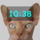 Clock and Pets Icon Image