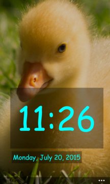 Clock and Pets Screenshot Image