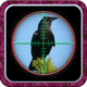 City Crow Hunting 3D Icon Image