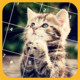 Cute Cats Jigsaw Puzzle Icon Image