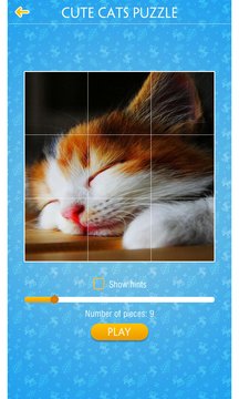 Cute Cats Jigsaw Puzzle Screenshot Image