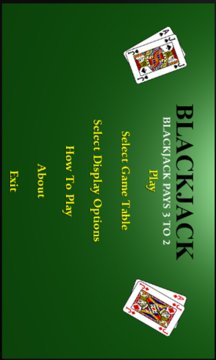 Blackjack Lite Screenshot Image