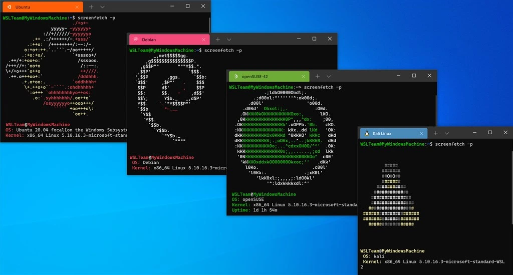 Windows Subsystem for Linux Screenshot Image #3