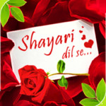 Hindi Shayari Pro