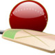 Gully Cricket Icon Image