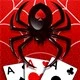 Spider Solitaire Icon Image