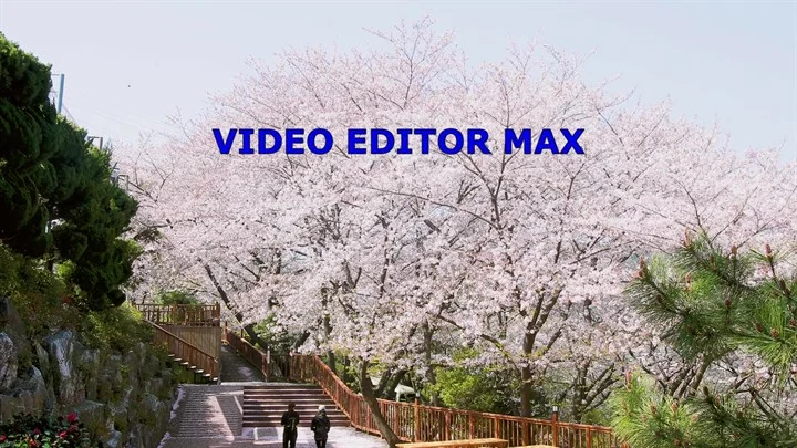 Video Editor Max