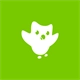 Duolingo Icon Image