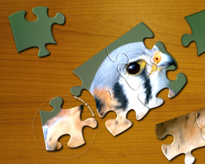 PuzzleTouch Prime Image