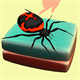 Spider Puzzle Solitaire Icon Image