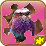 Best Jigsaw Puzzles XAP 1.0.0.1 - Free Puzzle & Trivia Game for Windows Phone