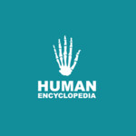 Human Encyclopedia 1.1.0.0 for Windows Phone