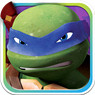 Ninja Gravity Turtle Runner Icon Image