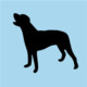 Dog Whistle Icon Image