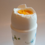 EggBoiler Image