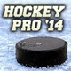 Hockey Pro '14 Icon Image