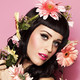 Katy Perry Musics Icon Image