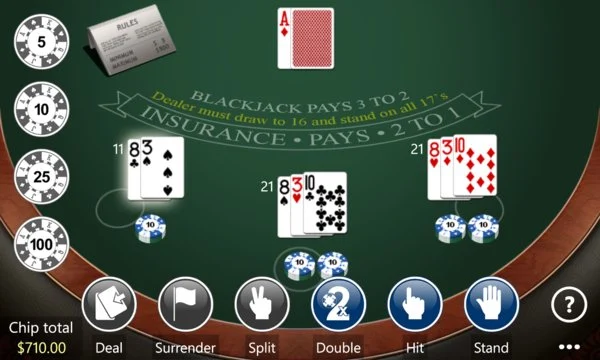Blackjack Assassin Screenshot Image