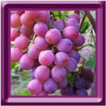 Grape Matching