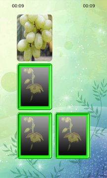 Grape Matching Screenshot Image