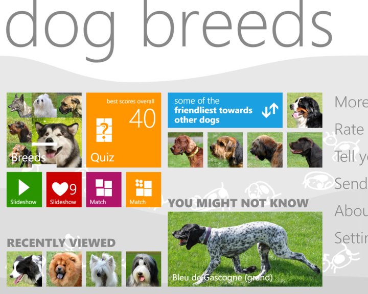 Dog Breeds Image