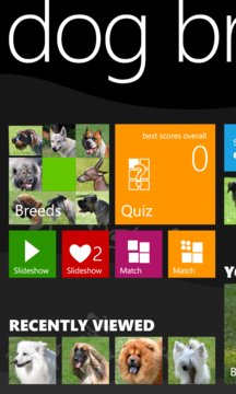 Dog Breeds Screenshot Image