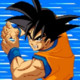 Dragonball Z - Supersonic Warriors Icon Image
